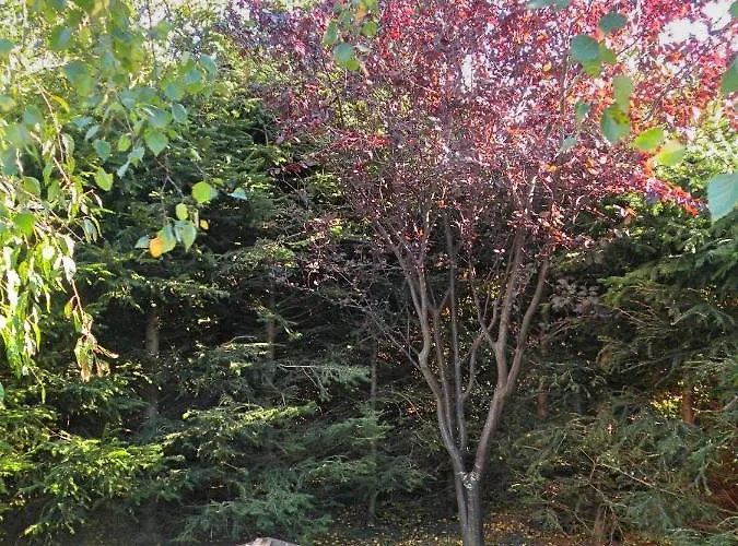 U Jacola Kompleks wypoczynkowy